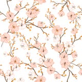 Sömlös modell med hand dragen dekorativ flowe för körsbärsröd blomning royaltyfri illustrationer Sömlös modell med hand dragen dekorativ flowe för körsbärsröd blomning royaltyfri illustrationer
