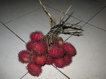 S?t och ny smak f?r tropisk frukt, brett spritt och fullvuxet i Asien K?lla av vitaminer och h?lsa arkivbilder S?t och ny smak f?r tropisk frukt, brett spritt och fullvuxet i Asien K?lla av vitaminer och h?lsa arkivbilder