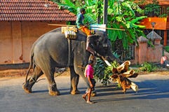 Słoń i mahout w Kerala, India Obrazy Stock Słoń i mahout w Kerala, India Obrazy Stock