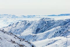 For?t de neige en hiver La for?t couverte de neige de Gongnaisi en hiver photographie stock For?t de neige en hiver La for?t couverte de neige de Gongnaisi en hiver photographie stock