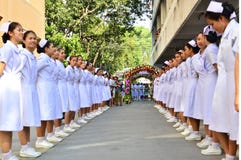 Thai nursing student royalty free stock photo Thai nursing student royalty free stock photo