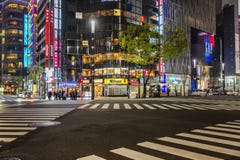 T?quio, Jap?o, 04/08/2017: Rua da noite da metr?pole foto de stock T?quio, Jap?o, 04/08/2017: Rua da noite da metr?pole foto de stock