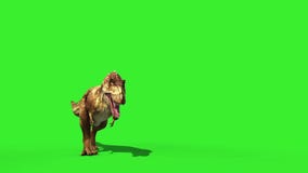 Oviraptor Dinosaurs Run Cycle Green Scre, Stock Video