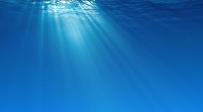 tła underwater