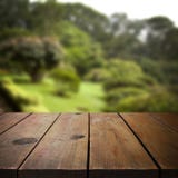 Table en bois dans le jardin pour le montage d'affichage de produit photo libre de droits Table en bois dans le jardin pour le montage d'affichage de produit photo libre de droits