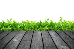 Table en bois vide avec l'arbre d'isolement sur le blanc y compris le chemin de coupure photographie stock libre de droits Table en bois vide avec l'arbre d'isolement sur le blanc y compris le chemin de coupure photographie stock libre de droits