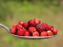 Tablespoon red strawberries closeup royalty free stock photos Tablespoon red strawberries closeup royalty free stock photos