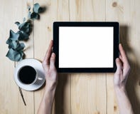 Tableta del primer con un monitor vacío de la pantalla en blanco en las manos de las muchachas con una rama del eucalipto y una t imagen de archivo Tableta del primer con un monitor vacío de la pantalla en blanco en las manos de las muchachas con una rama del eucalipto y una t imagen de archivo