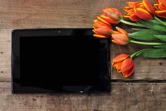 Tablette et tulipes vides Image libre de droits Tablette et tulipes vides Image libre de droits