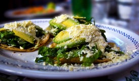 Tacos vegetarianos con el cactus del aguacate, del queso, de la lechuga y del higo chumbo fotografía de archivo libre de regalías Tacos vegetarianos con el cactus del aguacate, del queso, de la lechuga y del higo chumbo fotografía de archivo libre de regalías