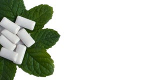 Tadellose Blätter und Kaugummi auf weißem Hintergrund lizenzfreies stockfoto Tadellose Blätter und Kaugummi auf weißem Hintergrund lizenzfreies stockfoto