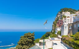 Tageslichtansicht von felsiger Capri-Insel, Italien stockbilder Tageslichtansicht von felsiger Capri-Insel, Italien stockbilder
