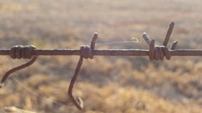 Taggtråd mellan två lantgårdar i Sydafrika fotografering för bildbyråer Taggtråd mellan två lantgårdar i Sydafrika fotografering för bildbyråer