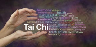 Tai Chi Word Cloud Royalty Free Stock Image