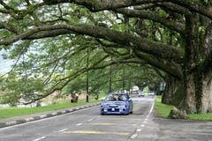 Taiping Lake Gardens Royalty Free Stock Image Taiping Lake Gardens Royalty Free Stock Image