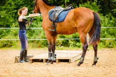 Jockey young woman getting horse ready for ride Stock Image Jockey young woman getting horse ready for ride Stock Image