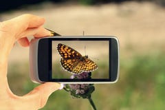 Taking Picture With Mobile Phone Royalty Free Stock Photography