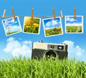 Tall grass with old vintage camera and pictures