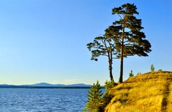 Tall spreading pine tree standing on the steep cliff at Irtyash Lake in Southern Urals, Russia Stock Photography Tall spreading pine tree standing on the steep cliff at Irtyash Lake in Southern Urals, Russia Stock Photography