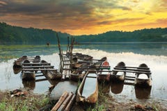 Tamblingan Lake Stock Images Tamblingan Lake Stock Images