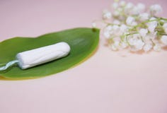 Tampons blancs propres de coton sur le fond rose sur une feuille verte menstruation Hygi?ne f?minine en quelques p?riodes, traite photographie stock libre de droits Tampons blancs propres de coton sur le fond rose sur une feuille verte menstruation Hygi?ne f?minine en quelques p?riodes, traite photographie stock libre de droits