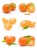 Tangerine Stock Photo Tangerine Stock Photo