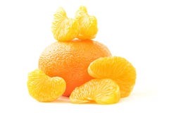 Tangerine Tangerine