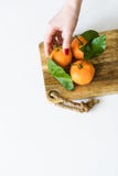 Tangerine εκμετάλλευσης χεÏιών με Îναν κλάδο στο άσπÏο υπόβαθÏο στοκ εικόνες με δικαίωμα ελεύθερης χρήσης Tangerine εκμετάλλευσης χεÏιών με Îναν κλάδο στο άσπÏο υπόβαθÏο στοκ εικόνες με δικαίωμα ελεύθερης χρήσης