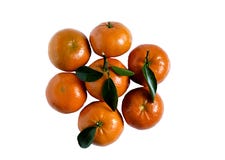 Tangerines z liśćmi zamkniętymi - w górę odizolowywa zdjęcia stock Tangerines z liśćmi zamkniętymi - w górę odizolowywa zdjęcia stock