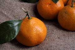 Tangerines βρίσκονται σε ένα γκρίζο ύφασμα υποβάθρου, κλάδους και πράσινα φύλλα Οργανική τροφή στοκ φωτογραφίες Tangerines βρίσκονται σε ένα γκρίζο ύφασμα υποβάθρου, κλάδους και πράσινα φύλλα Οργανική τροφή στοκ φωτογραφίες