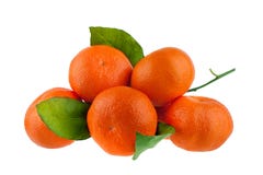 5 tangerines на одной ветви с зелеными листьями на белой крупном плане изолированном предпосылкой стоковое фото rf 5 tangerines на одной ветви с зелеными листьями на белой крупном плане изолированном предпосылкой стоковое фото rf