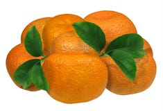 Tangerines с листьями изолированными на белой предпосылке Отсутствие тени превосходное качество стоковое фото rf Tangerines с листьями изолированными на белой предпосылке Отсутствие тени превосходное качество стоковое фото rf