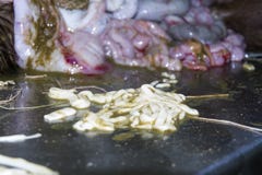 Tapeworm on a dissection table Stock Photos Tapeworm on a dissection table Stock Photos