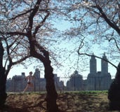 Taqueuse de Central Park image stock Taqueuse de Central Park image stock