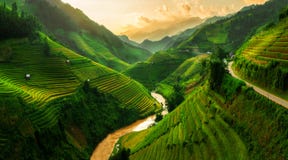 Tarasowaty ryżu pole w Mu Cang Chai, Wietnam Tarasowaty ryżu pole w Mu Cang Chai, Wietnam