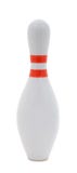 target546_1_ szpilka