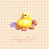 Tarjeta de felicitación feliz de Pascua Pollo lindo de la acuarela con el texto stock de ilustración Tarjeta de felicitación feliz de Pascua Pollo lindo de la acuarela con el texto stock de ilustración