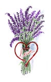 Tarjeta de felicitación de la acuarela con un ramo de lavanda libre illustration Tarjeta de felicitación de la acuarela con un ramo de lavanda libre illustration