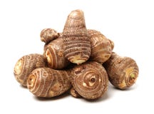 Taro Root Melenudo, estudio fotografía de archivo libre de regalías Taro Root Melenudo, estudio fotografía de archivo libre de regalías
