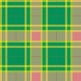 Tartan, plaid pattern. Seamless vector. royalty free illustration Tartan, plaid pattern. Seamless vector. royalty free illustration