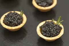 Tartlets с черным концом икры вверх Конец изысканной еды вверх, закуска r Изысканная еда Текстура икры стоковые изображения rf Tartlets с черным концом икры вверх Конец изысканной еды вверх, закуска r Изысканная еда Текстура икры стоковые изображения rf