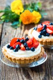 Tarts επιδορπίων φρούτων στοκ εικόνα Tarts επιδορπίων φρούτων στοκ εικόνα