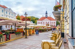 Tartu, Estland TartuStadhuis royalty-vrije stock foto Tartu, Estland TartuStadhuis royalty-vrije stock foto
