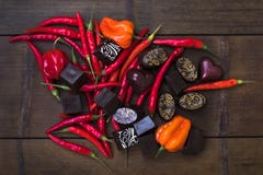 Tartufi di cioccolato e del peperoncino rosso fotografie stock Tartufi di cioccolato e del peperoncino rosso fotografie stock