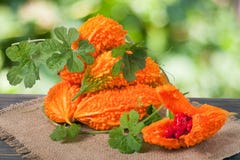 Tas de melon ou de momordica amer sur la table en bois avec le fond brouillé image libre de droits Tas de melon ou de momordica amer sur la table en bois avec le fond brouillé image libre de droits