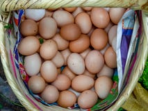 Tas des oeufs fermiers à l'intérieur d'un panier traditionnel photo libre de droits Tas des oeufs fermiers à l'intérieur d'un panier traditionnel photo libre de droits