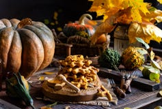 Tasty Homemade Pumpkin Orange Waffles On Wooden Board On Brown Rustic Table With Pumpkins Stock Images