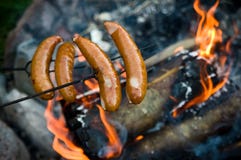 Sausages over campfire in home garden Royalty Free Stock Photos Sausages over campfire in home garden Royalty Free Stock Photos