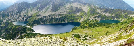 Tatra-Berge in Polen, im grünen Hügel, im See und in der felsigen Spitze am sonnigen Tag mit klarem blauem Himmel lizenzfreie stockfotos Tatra-Berge in Polen, im grünen Hügel, im See und in der felsigen Spitze am sonnigen Tag mit klarem blauem Himmel lizenzfreie stockfotos