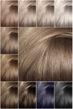 Tavolozza di colore dei capelli con una vasta gamma di campioni Campioni dei colori colorati dei capelli Tonalità dei colori fred fotografia stock Tavolozza di colore dei capelli con una vasta gamma di campioni Campioni dei colori colorati dei capelli Tonalità dei colori fred fotografia stock
